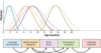 Frontiers Plasticity Variability and Age in Second Language